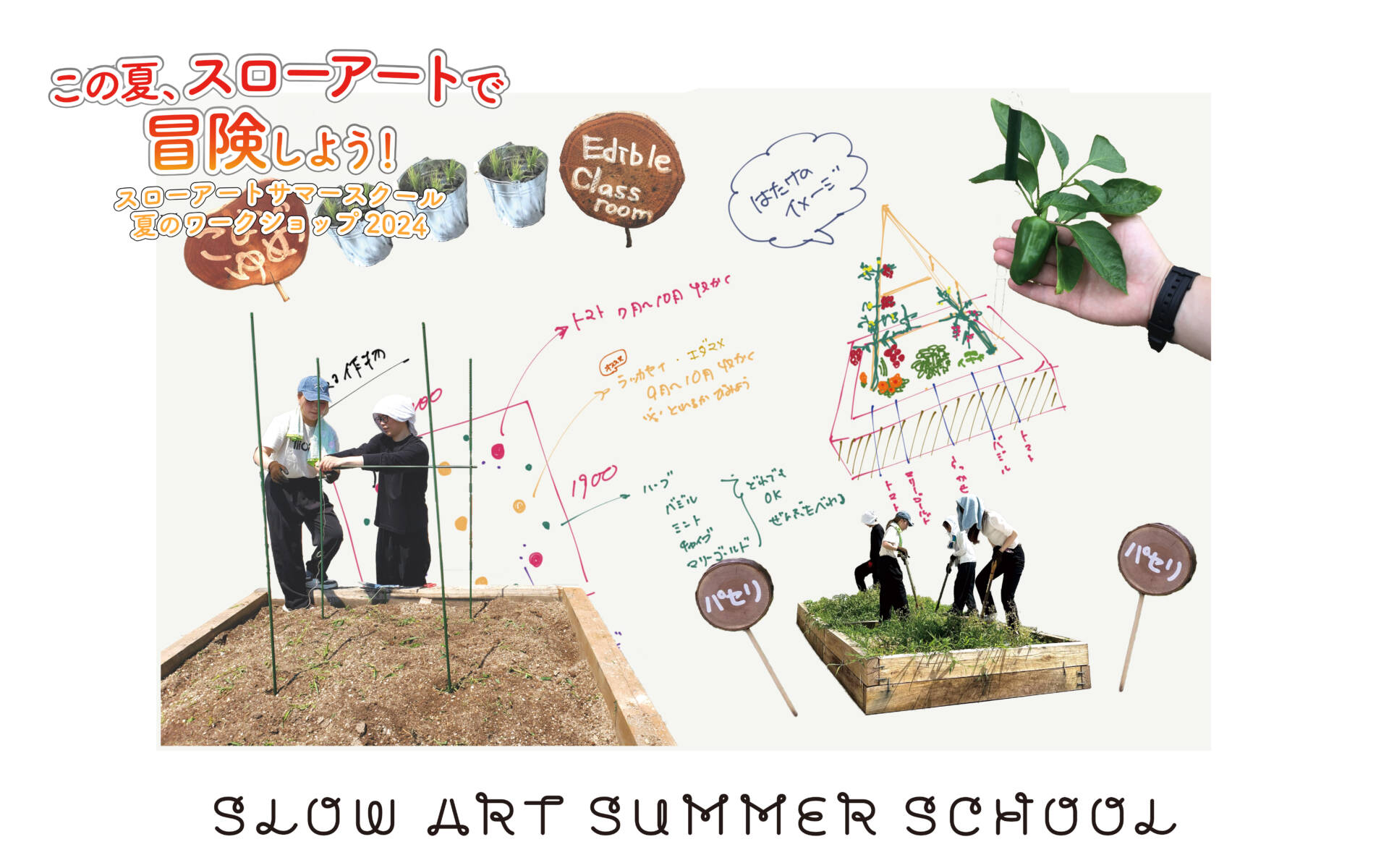 SLOW ART SUMMER SCHOOL 2024 スローアートセンターで野菜を観察！