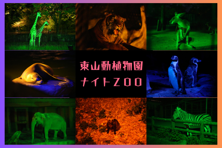 名古屋市東山動植物園 ナイトZOO