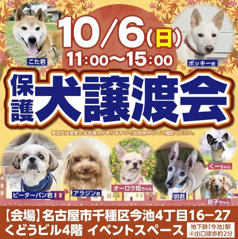 10/6(日)名古屋市今池で犬の譲渡会を開催します！