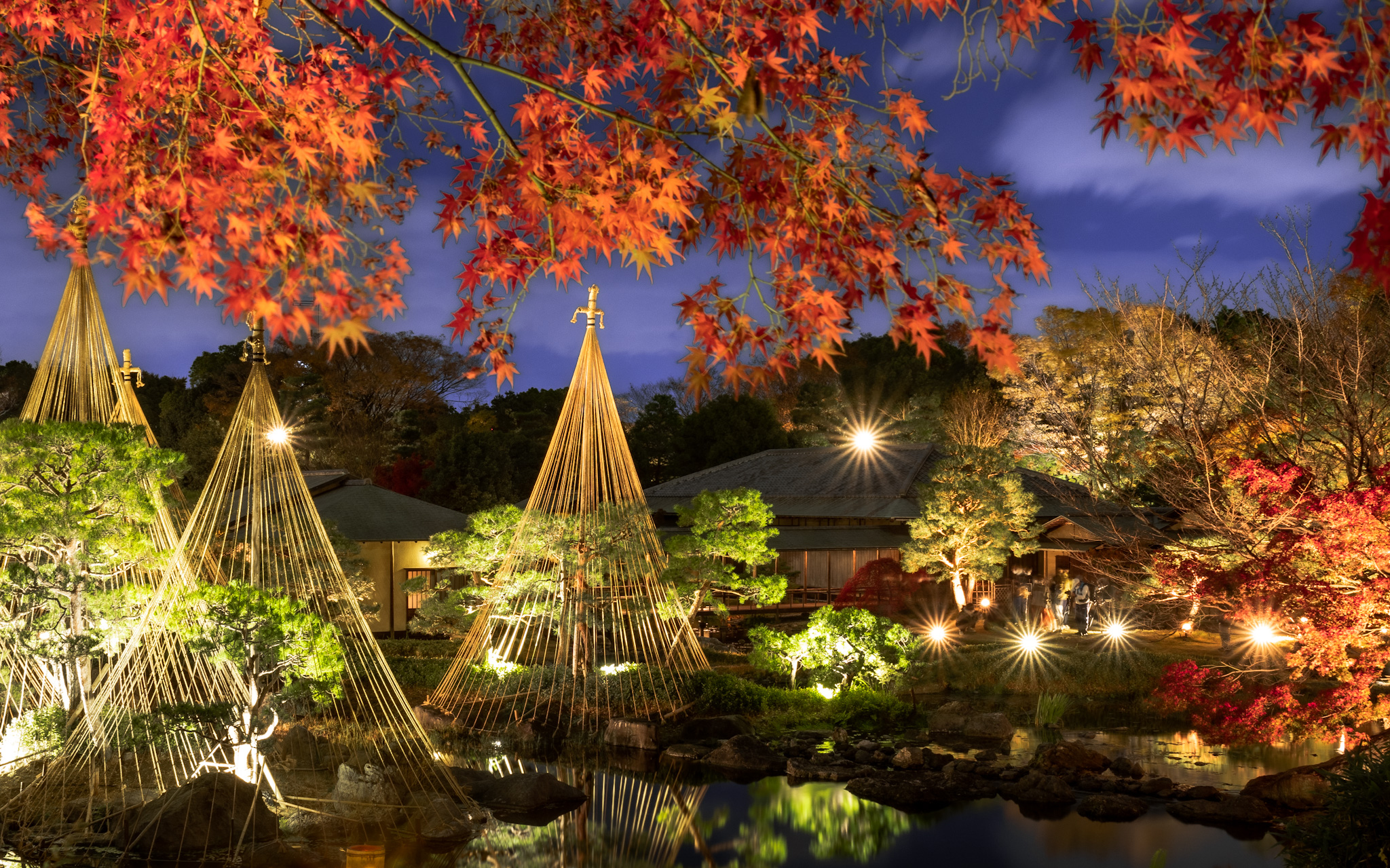 白鳥庭園　紅葉ライトアップ