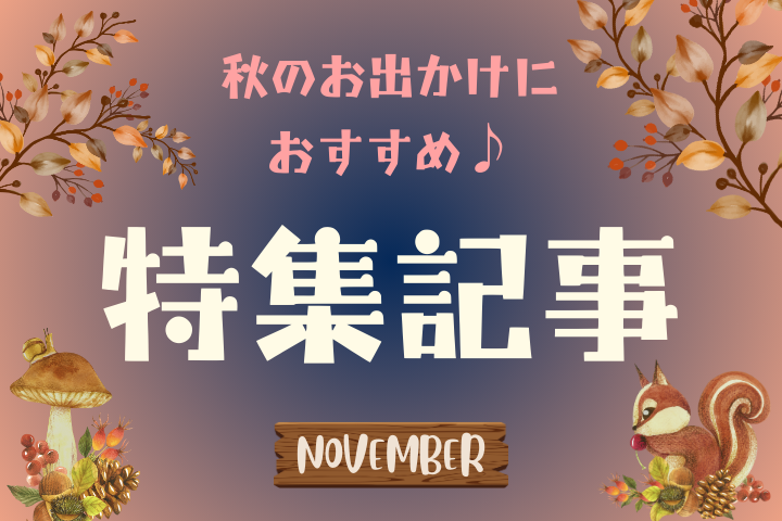 11 月【特集記事】のお知らせ