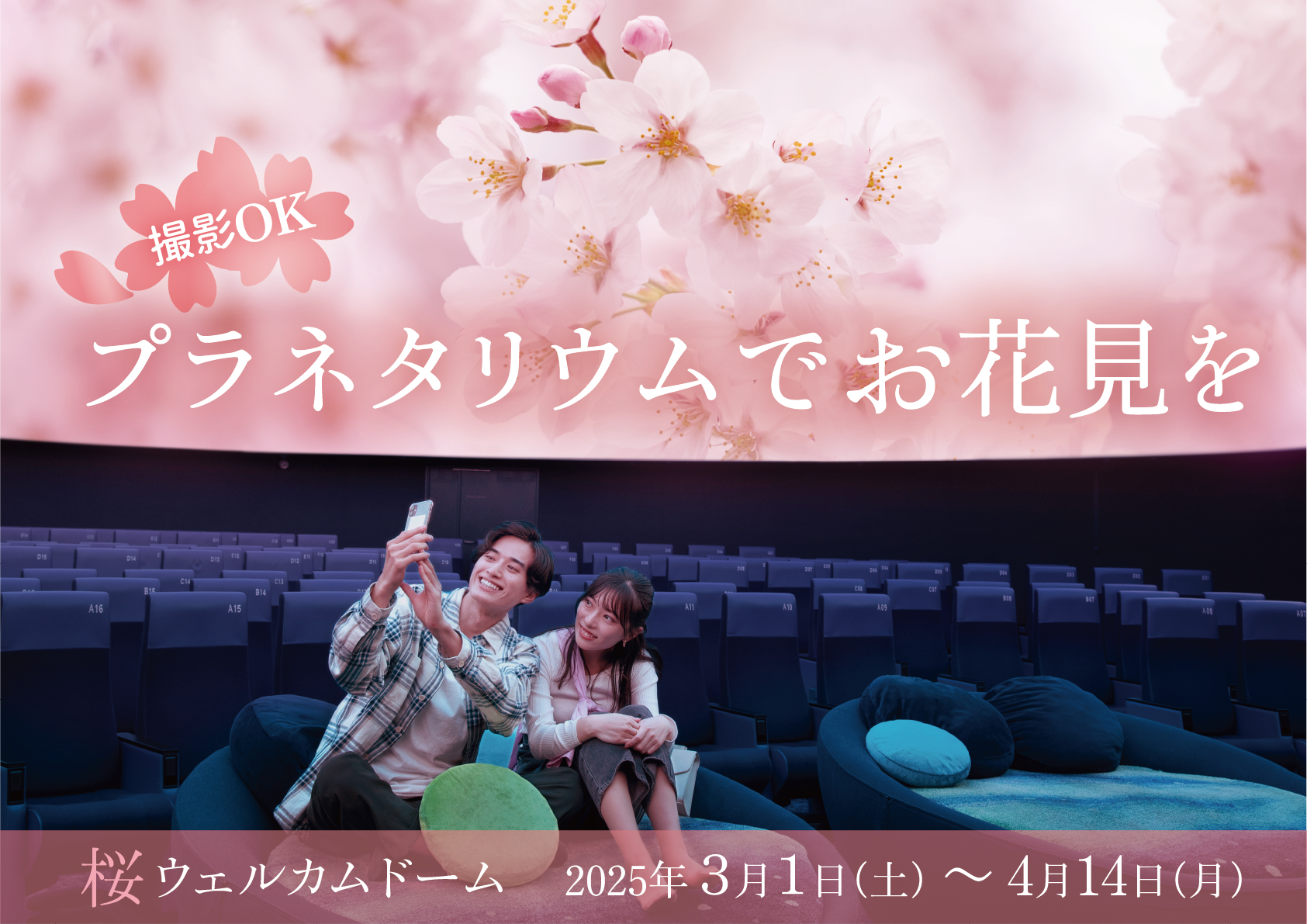 【満天 NAGOYA】桜ウェルカムドーム