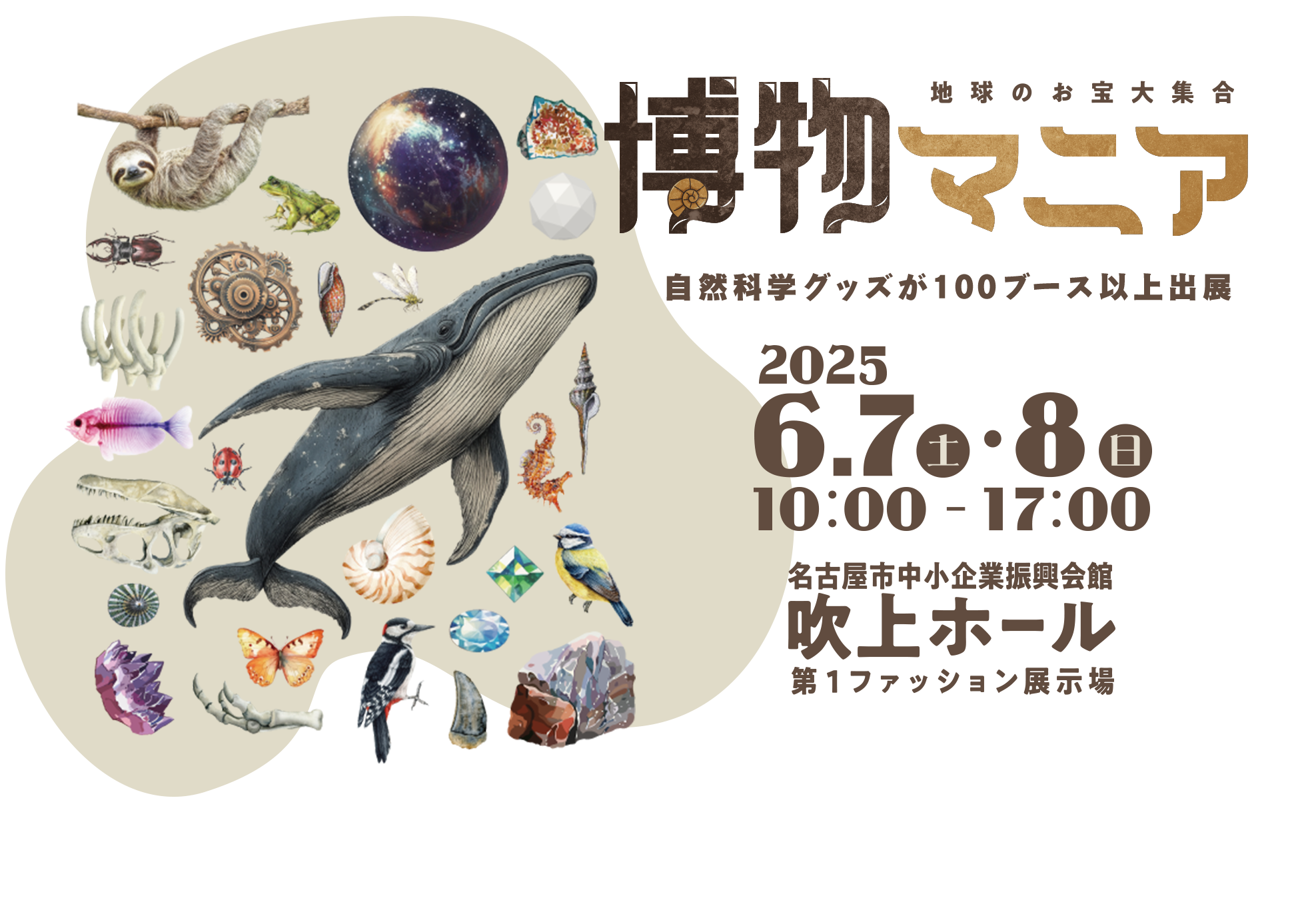地球のお宝大集合！【博物マニア】