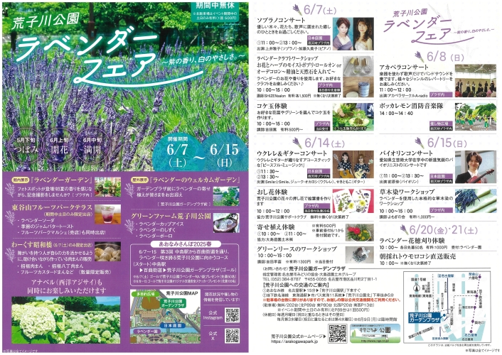 荒子川公園　ラベンダーフェア