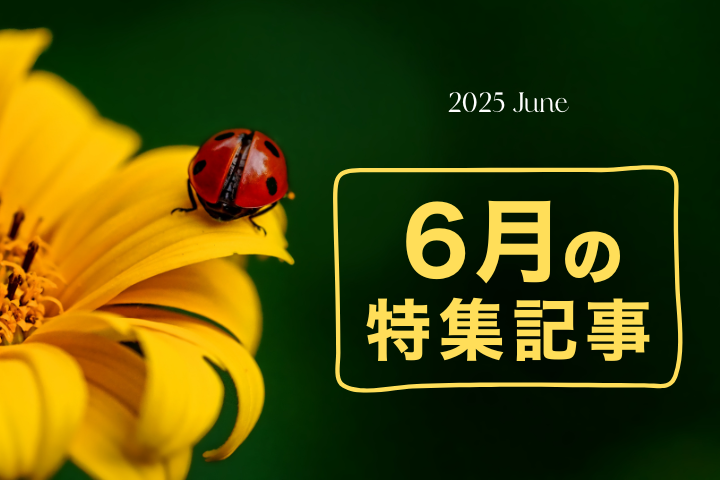 6月【特集記事】のお知らせ