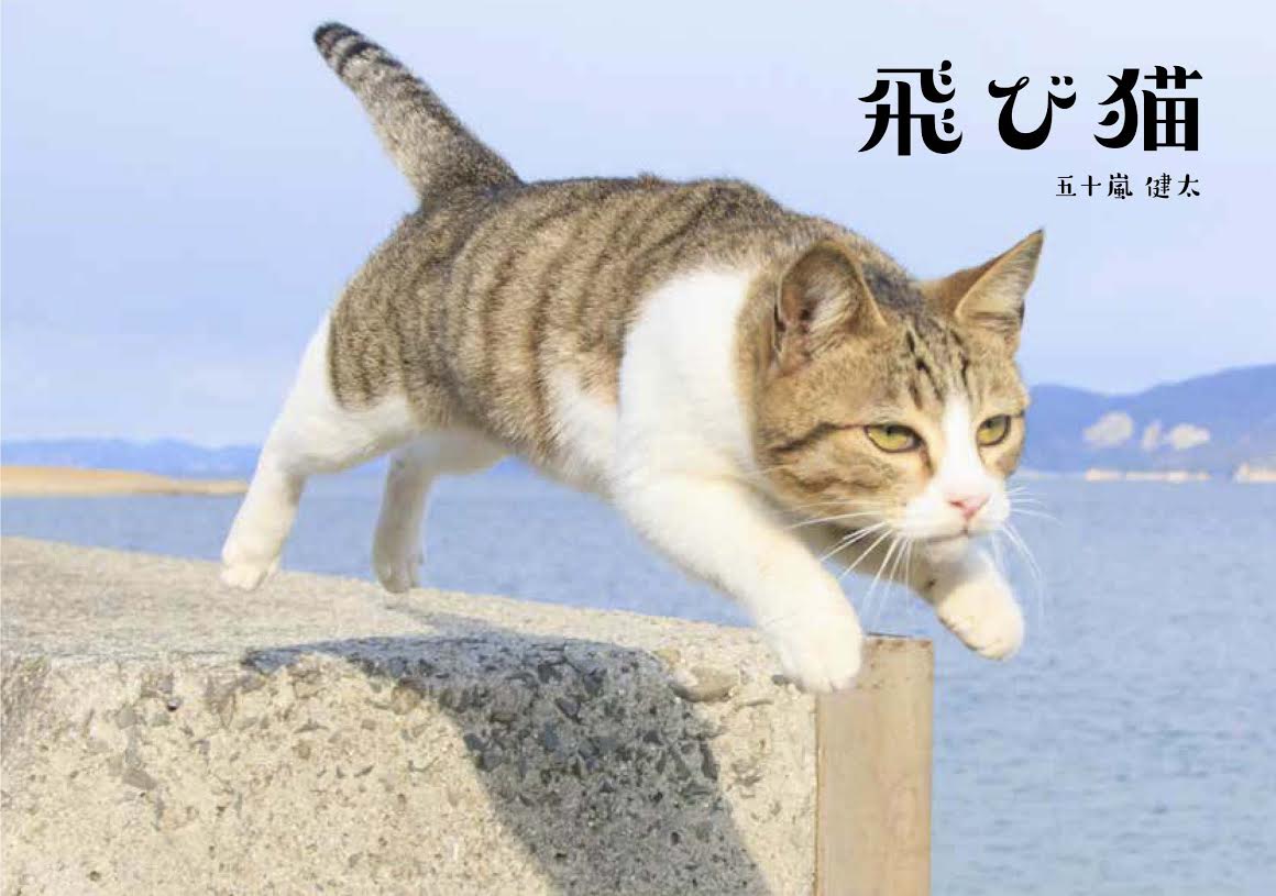 【名古屋栄三越】五十嵐 健太「飛び猫」写真展