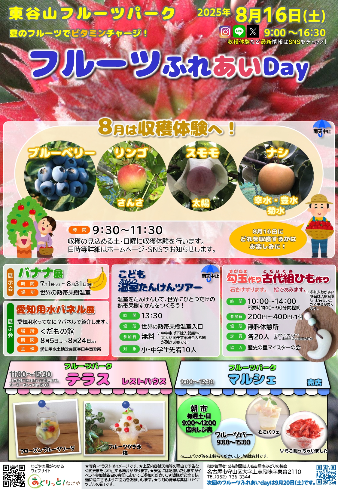 東谷山フルーツパーク　『フルーツふれあいDay』8月16日（土）