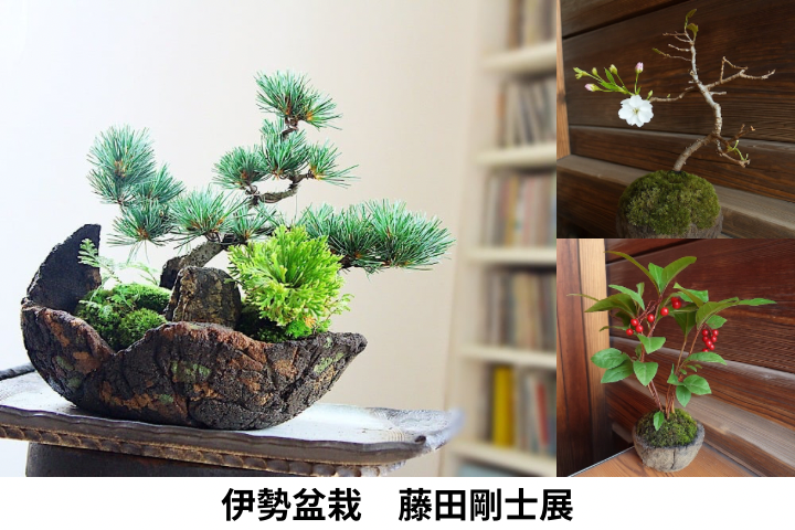 【名古屋栄三越】『伊勢盆栽　藤田剛士展』