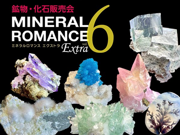 MINERAL ROMANCE Extra vol.6