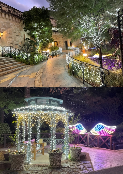 ウィンターイルミネーション in FLARIE 2026