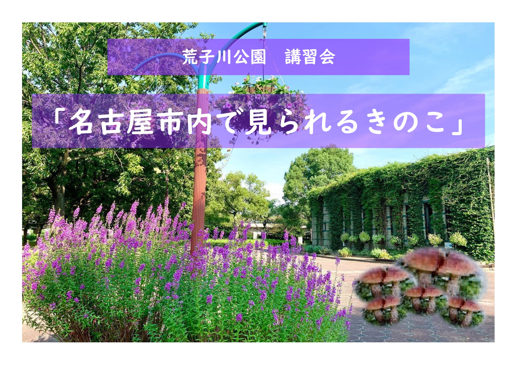 荒子川公園ガーデンプラザ「名古屋市内で見られるきのこ」