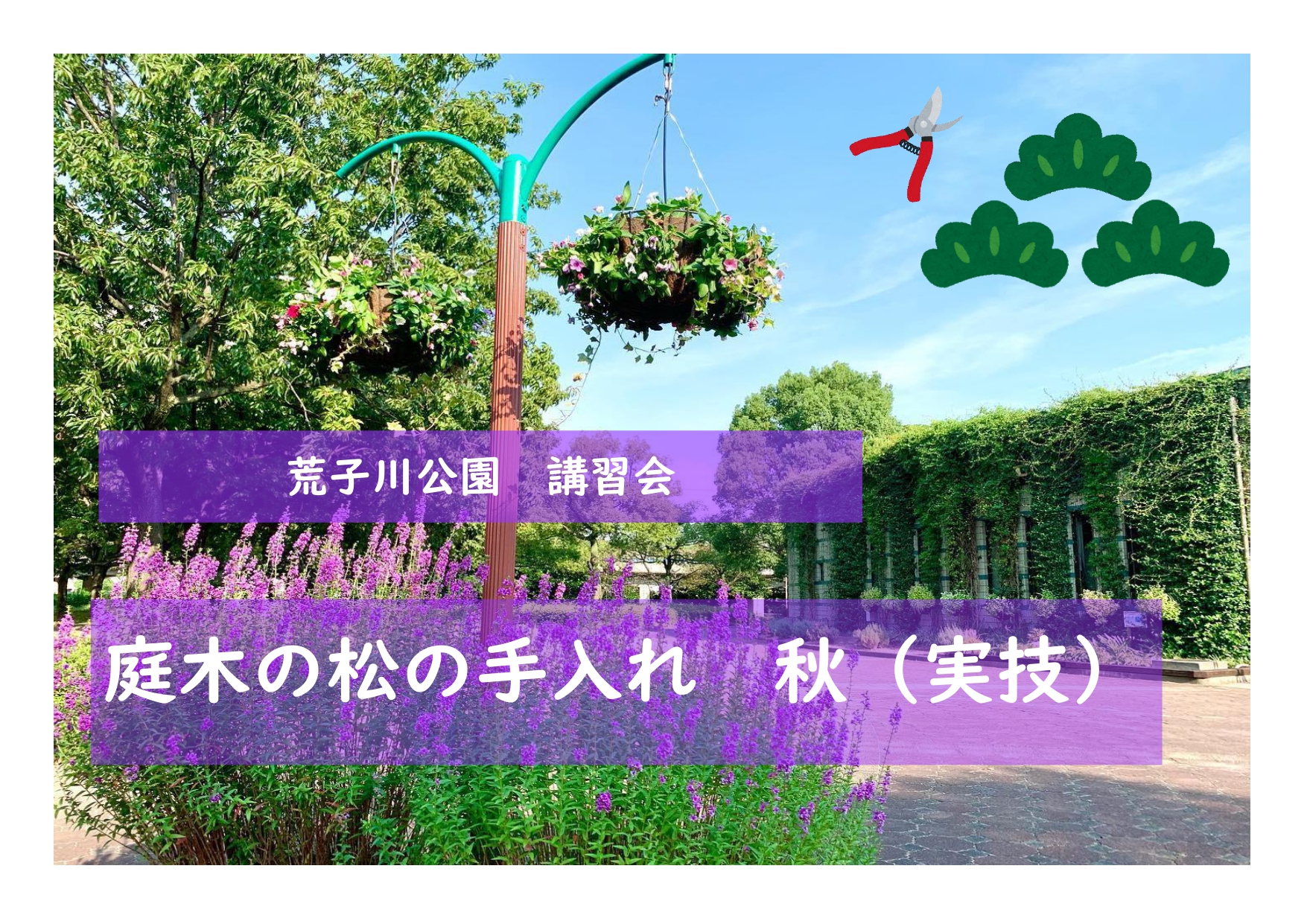 荒子川公園ガーデンプラザ　「庭木の松の手入れ（実技）」