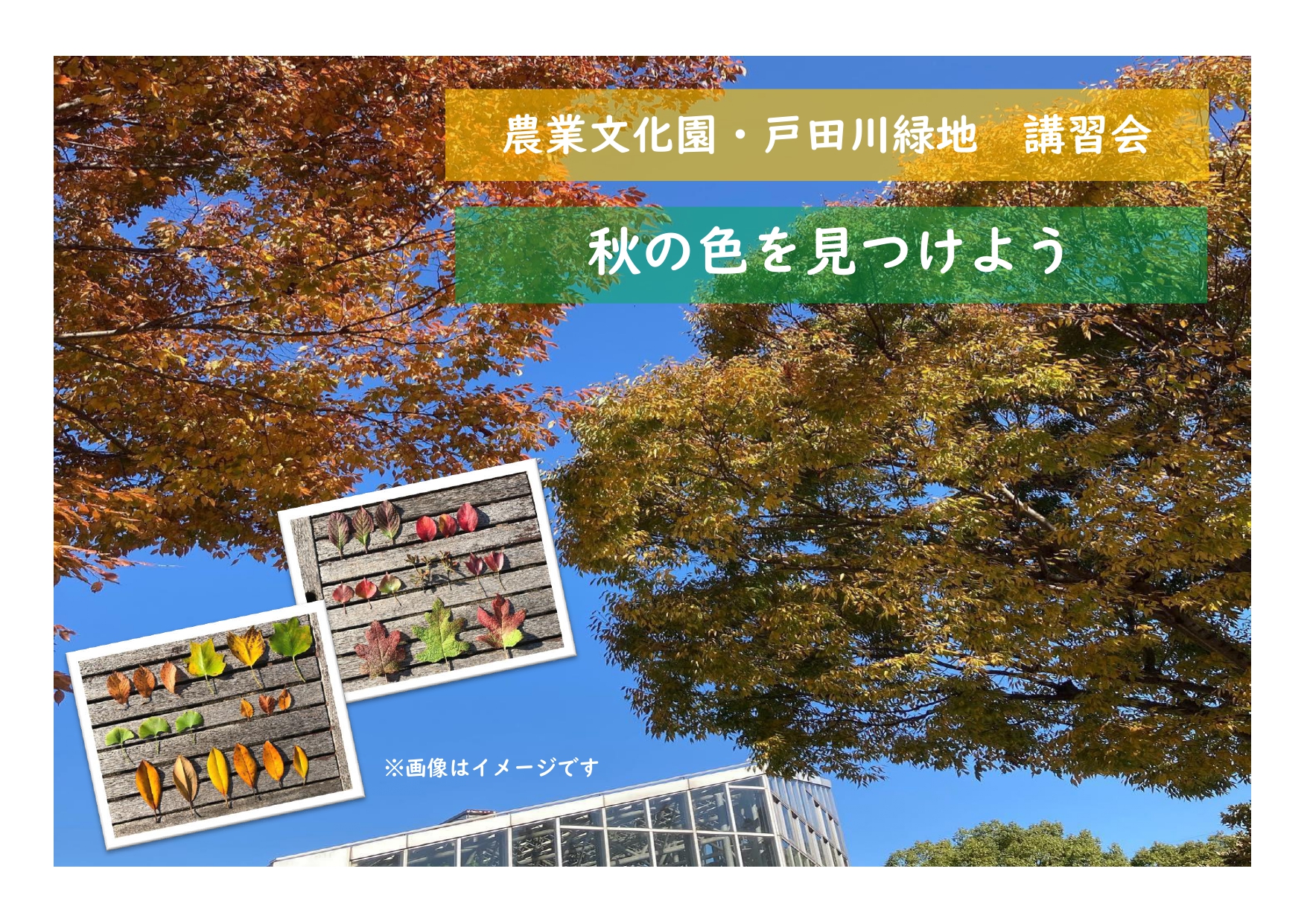 農業文化園・戸田川緑地　講習会「秋の色を見つけよう」