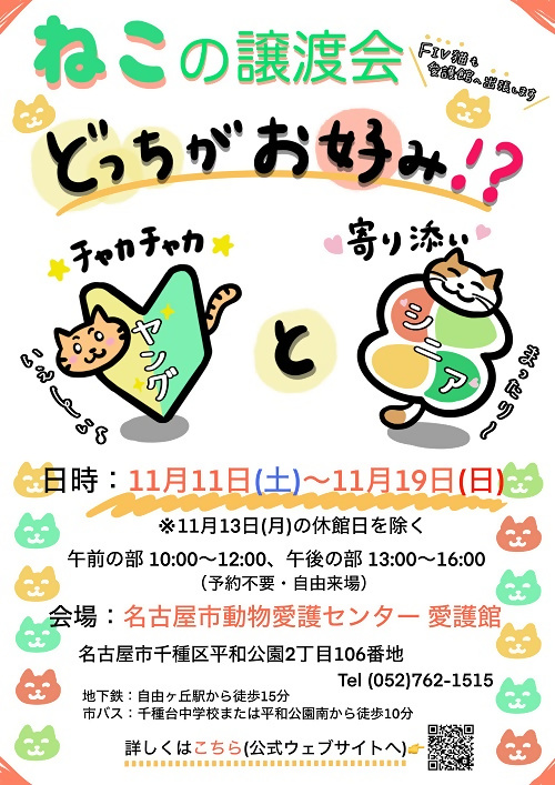 ねこの譲渡会「どっちがお好み！？チャカチャカヤングと寄り添いシニア」