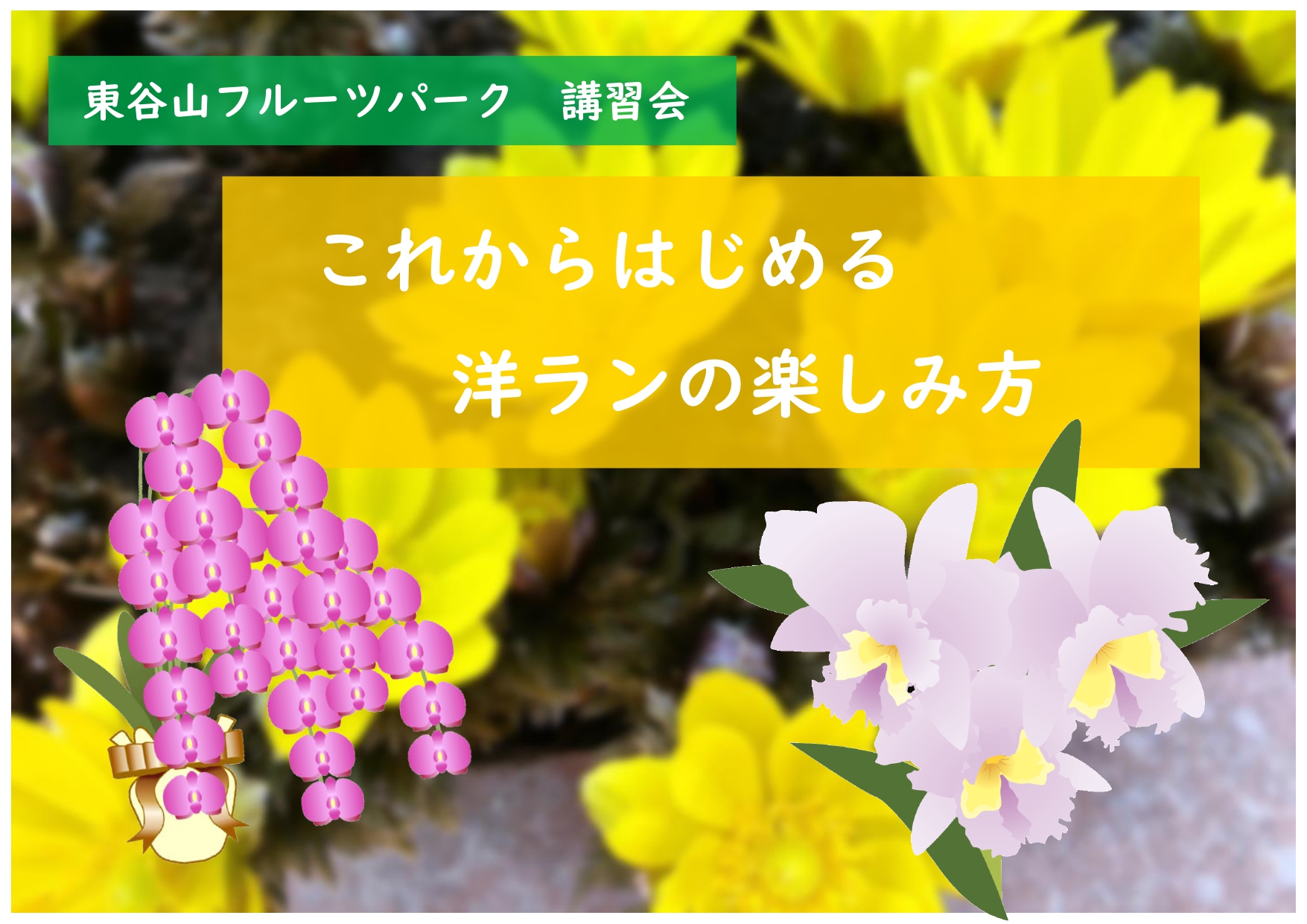 東谷山フルーツパーク　講習会【これからはじめる洋ランの楽しみ方】