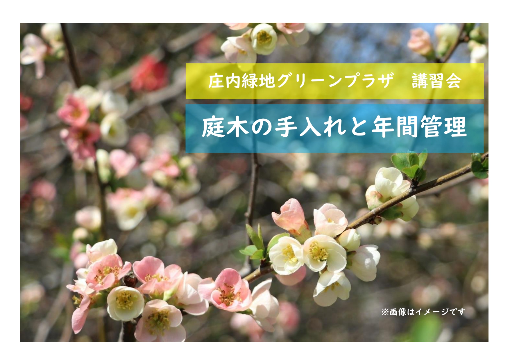 庄内緑地　講習会「庭木の手入れと年間管理」