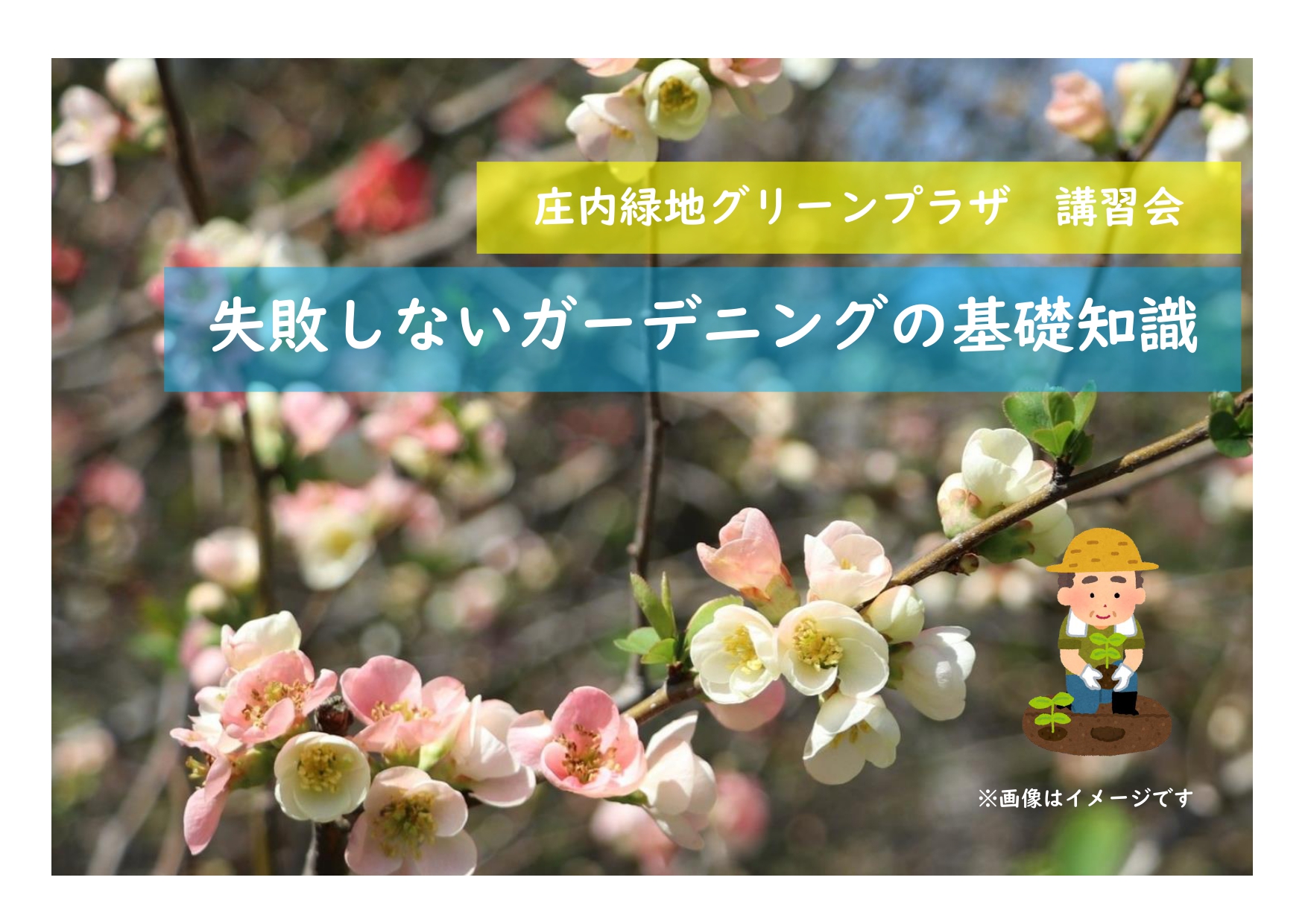 庄内緑地　講習会「失敗しないガーデニングの基礎知識」