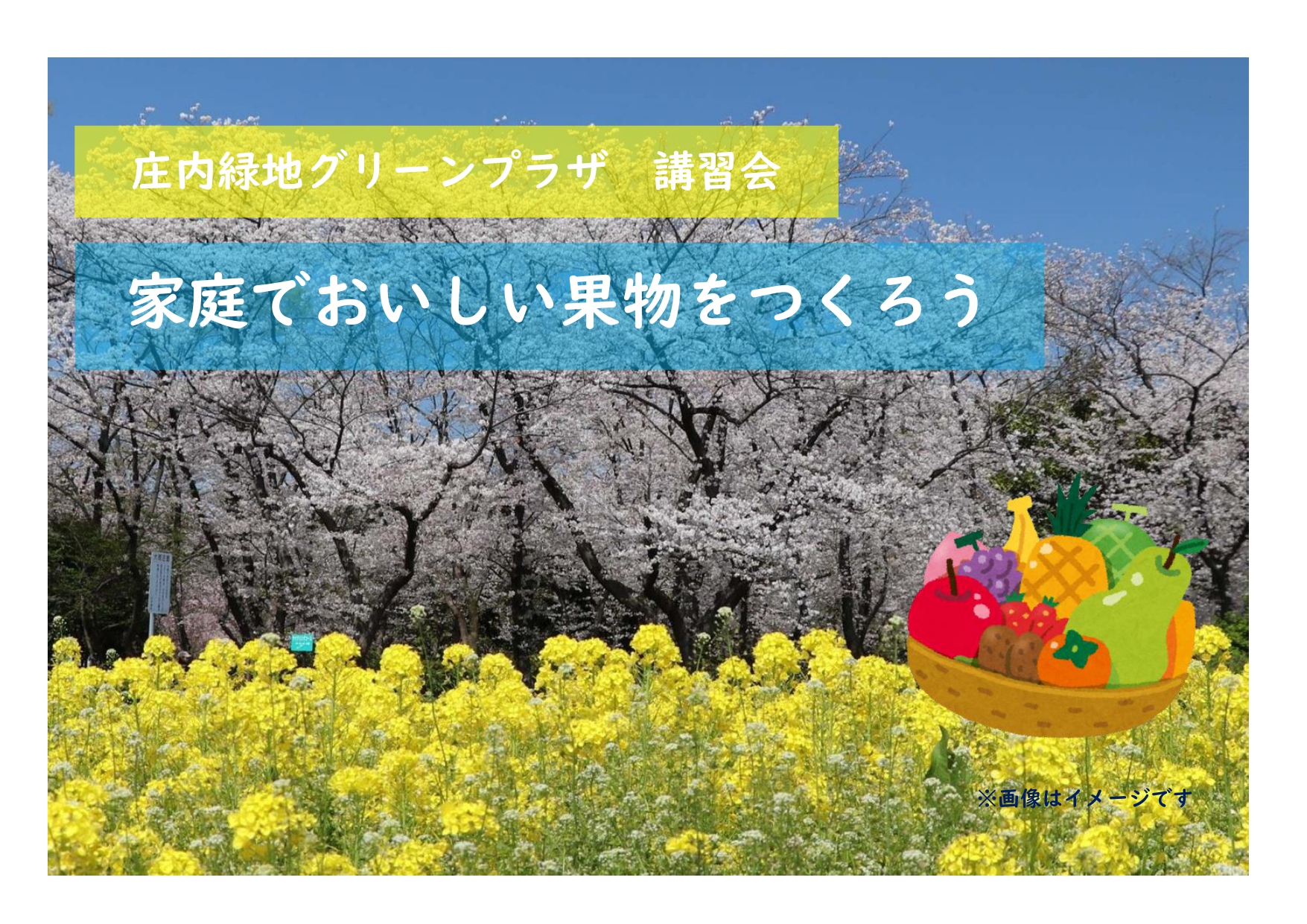 庄内緑地　講習会「家庭でおいしい果物をつくろう」