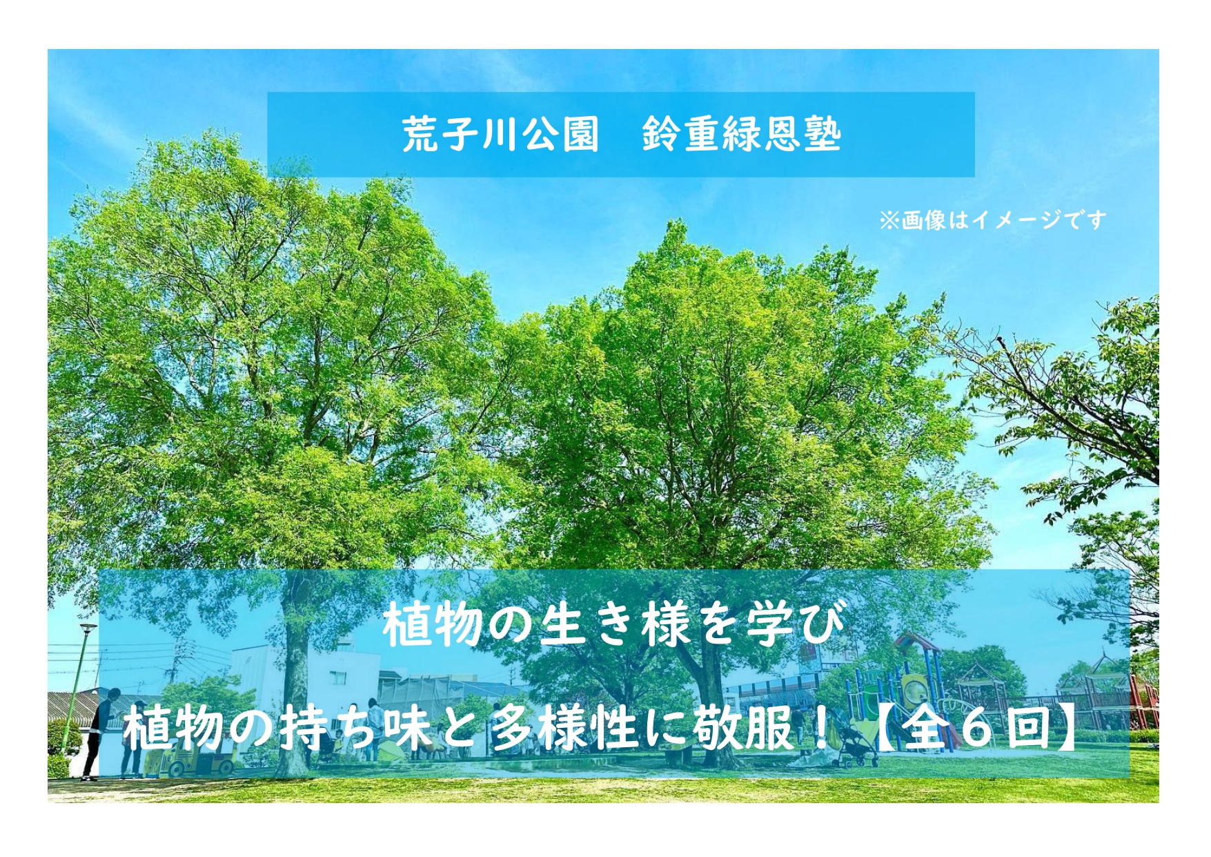 荒子川公園ガーデンプラザ　講習会「植物の生き様を学び　植物の持ち味と多様性に敬服！全6回」