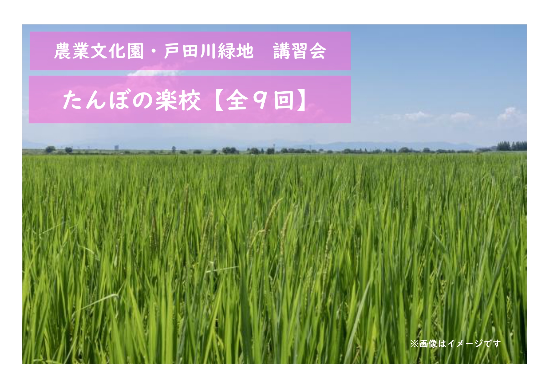 農業文化園・戸田川緑地　講習会「たんぼの楽校（がっこう）【全9回】」