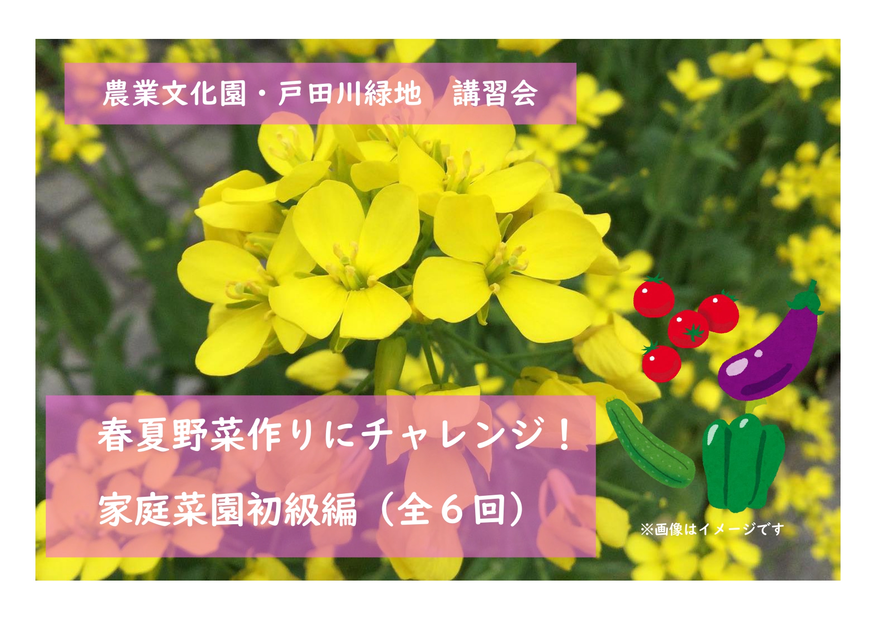 農業文化園・戸田川緑地　講習会「春夏野菜作りにチャレンジ！（家庭菜園初級編）【全6回】」