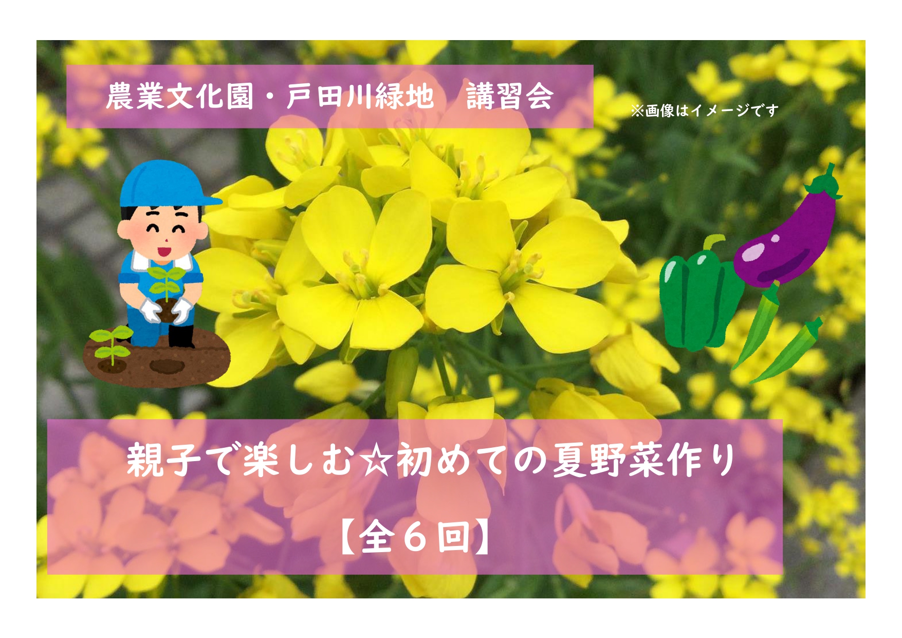 農業文化園・戸田川緑地　講習会「親子で楽しむ☆初めての夏野菜づくり【全5回】」