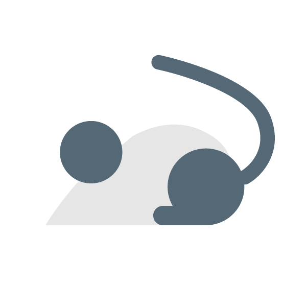 干支の子(ねずみ)