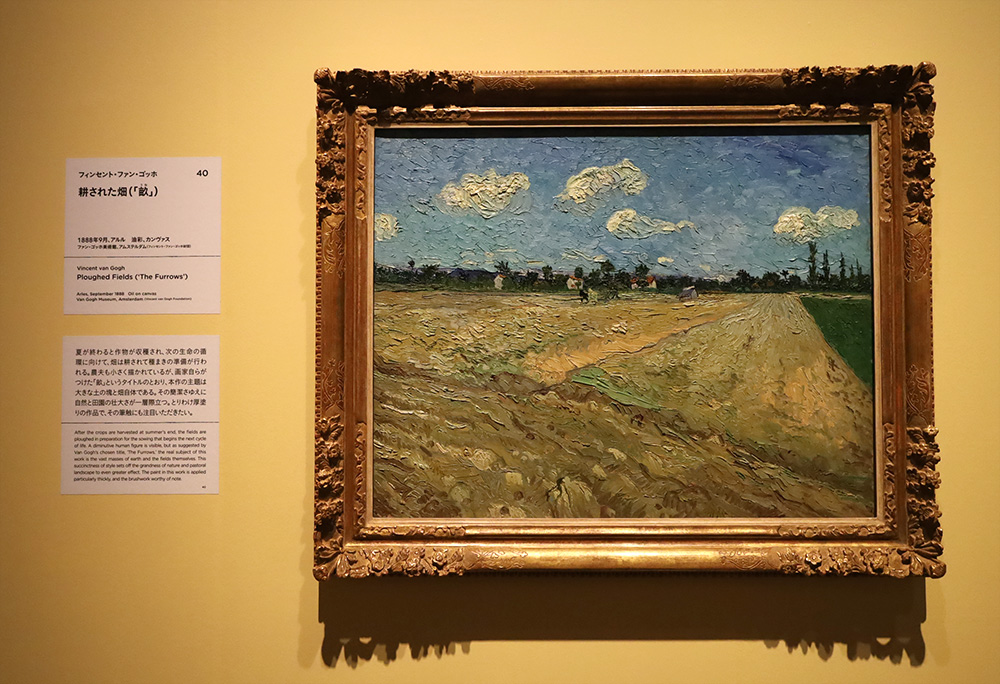 ゴッホ展-家族がつないだ画家の夢-アルル時代の作品「耕された（『畝』）